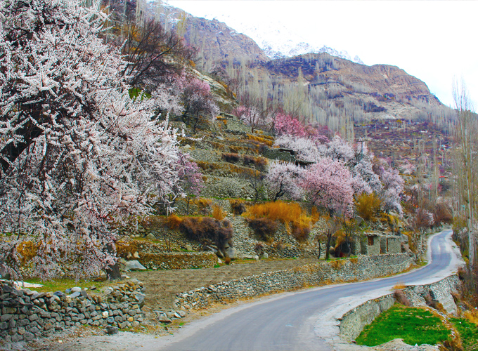 Spring Tour Fairy Meadows & Hunza Valley 12 Days