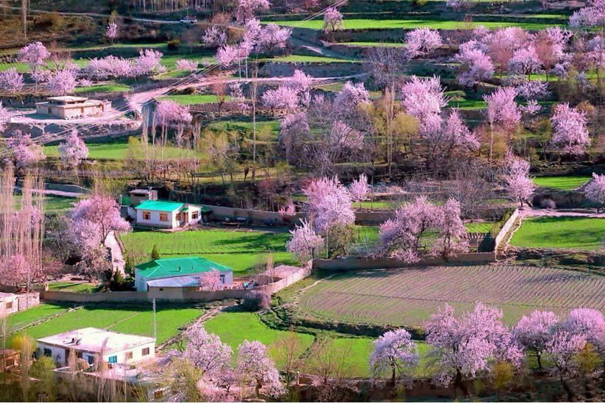 Spring Tour Fairy Meadows & Hunza Valley (12 Days)