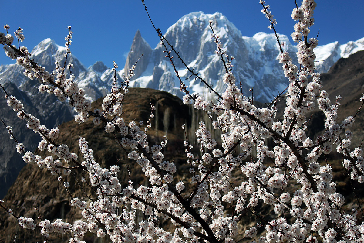 Spring Tour Hunza Valley